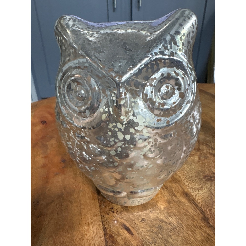 Silver Mercury Glass Owl Figurines Set of 2 Light Up LED Decorative Statues - Picture 2 of 8